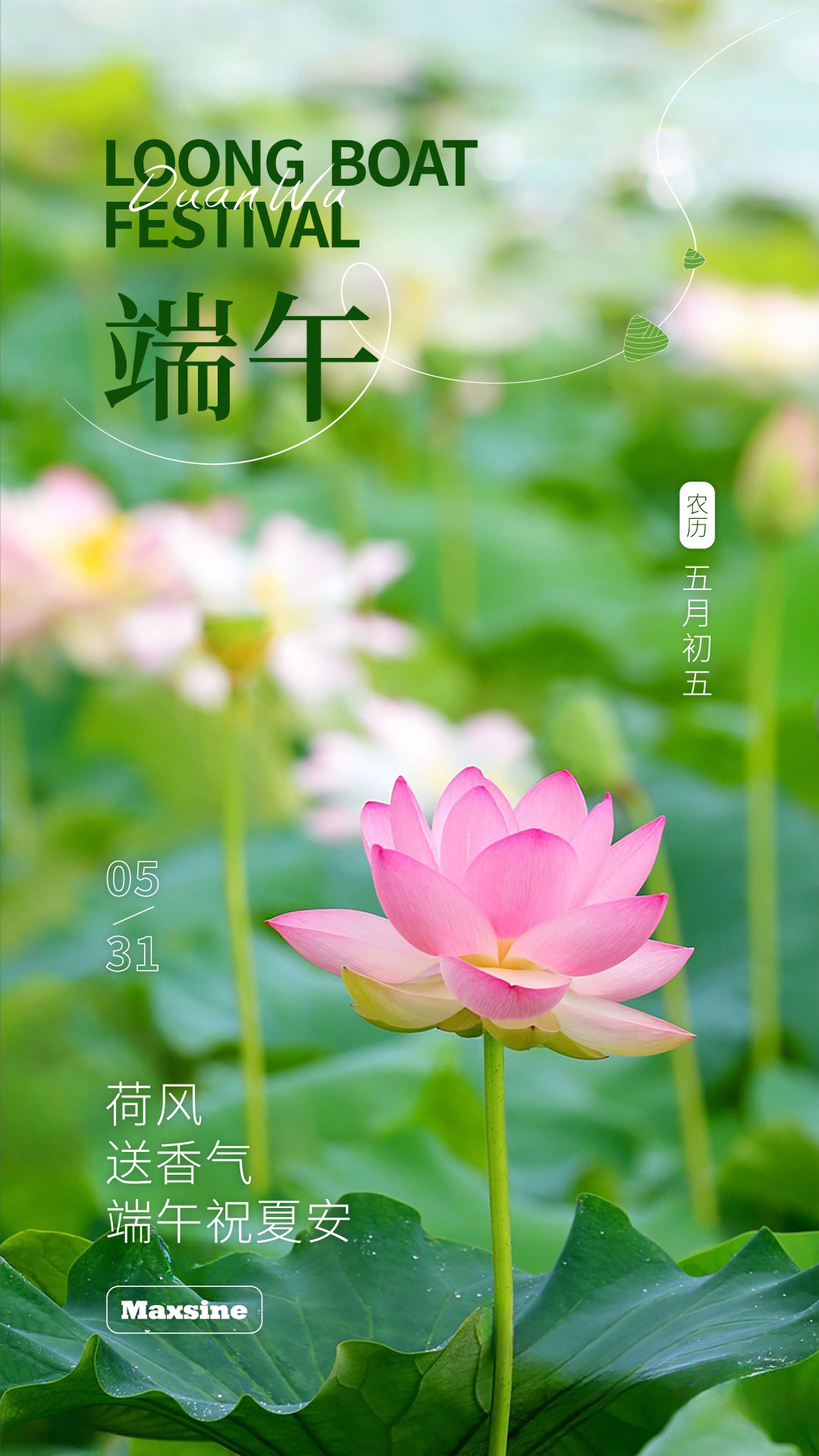 荷風(fēng)送香氣  端午祝夏安